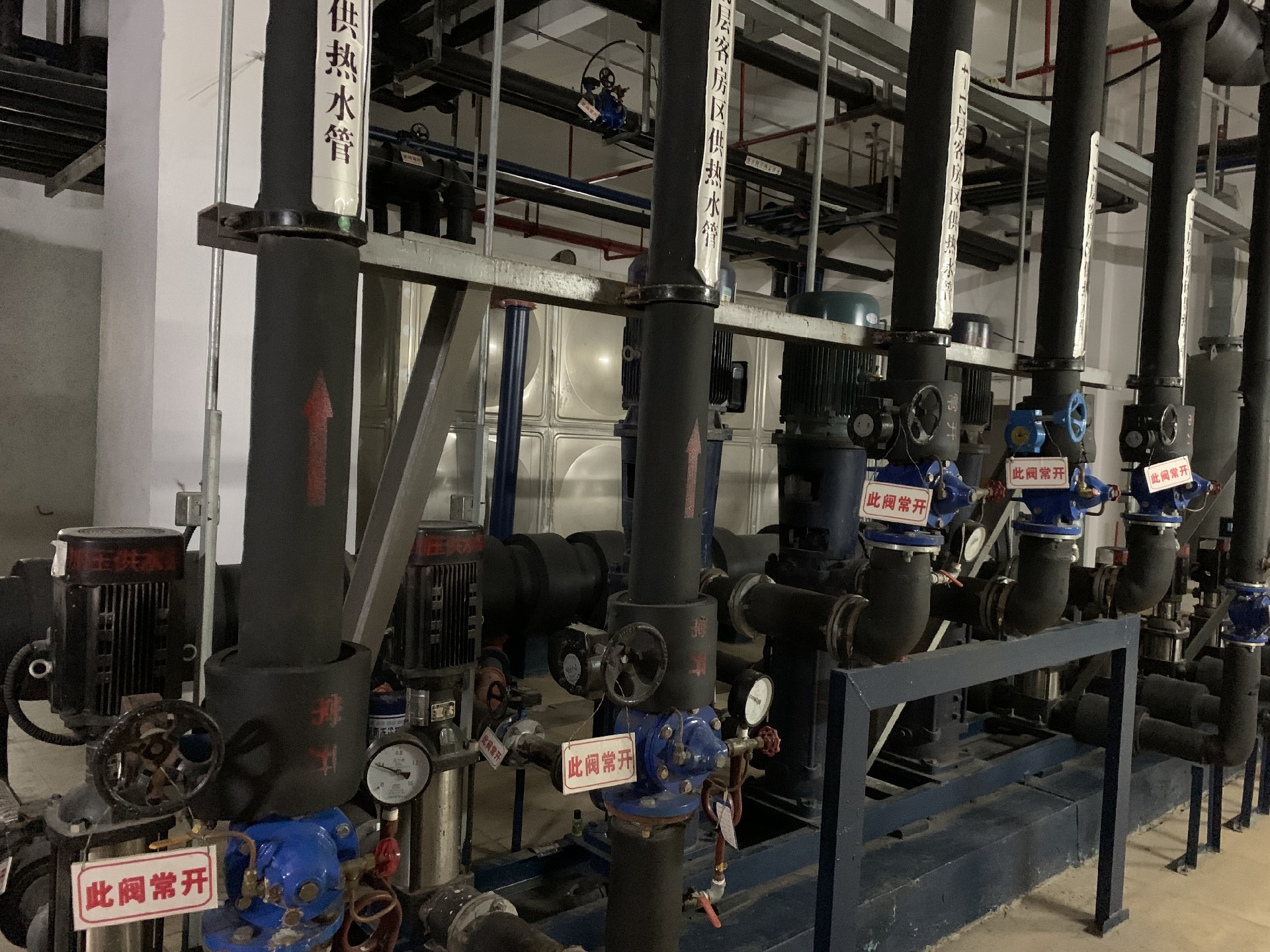 1653706515195735.jpg IMG_2460.JPG